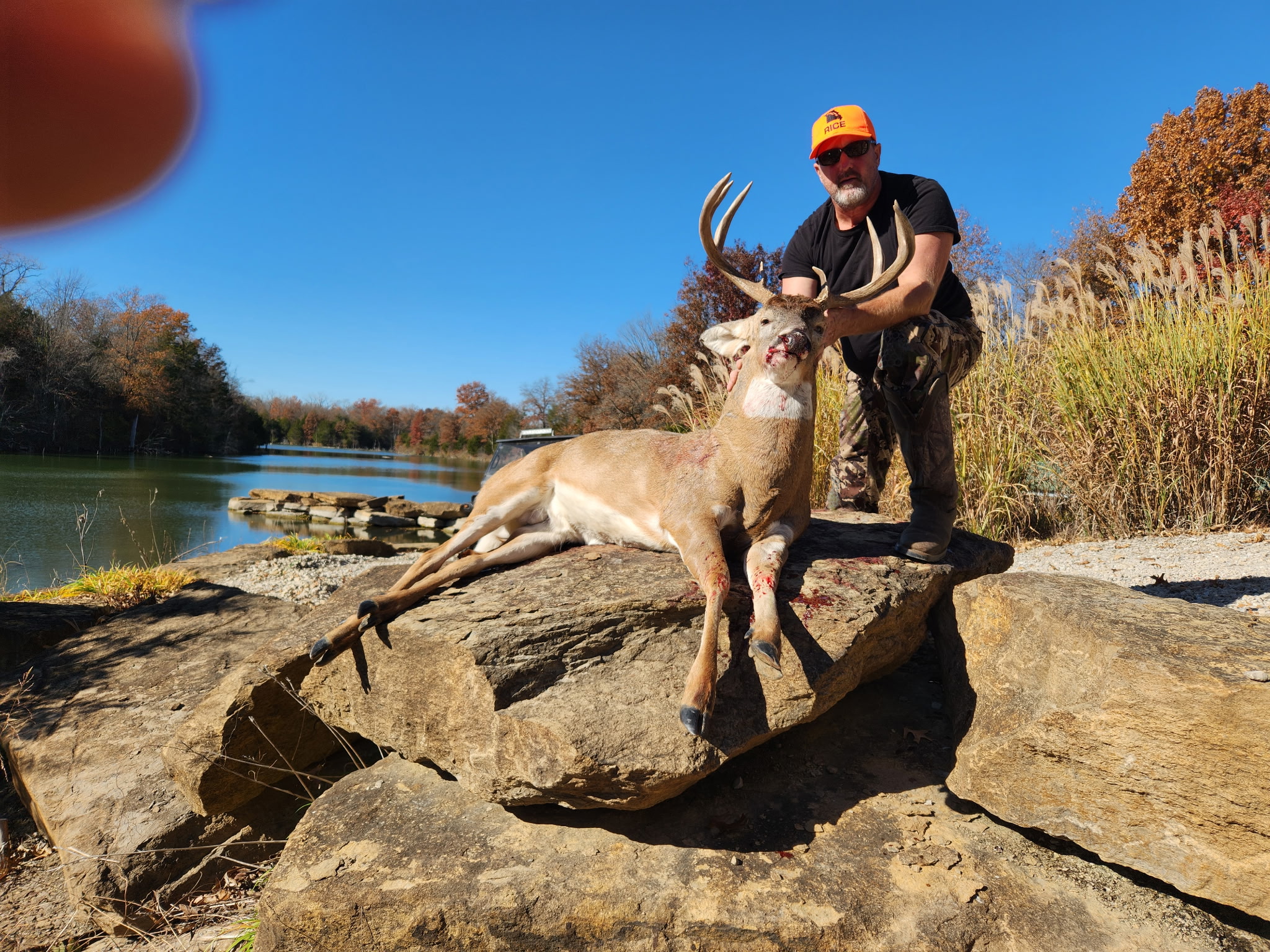 Hunt photo 19